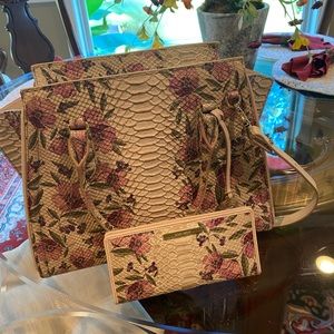 Brahmin Satchel and wallet